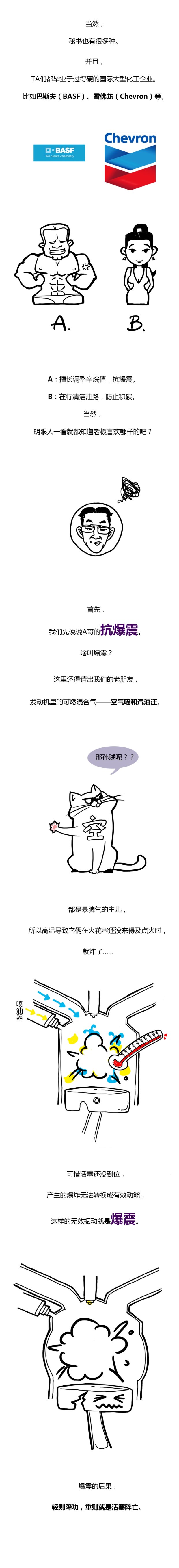 bsports必一体育之家