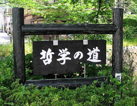 从哲学角度看电动bsports必一体育价格高之如何破局