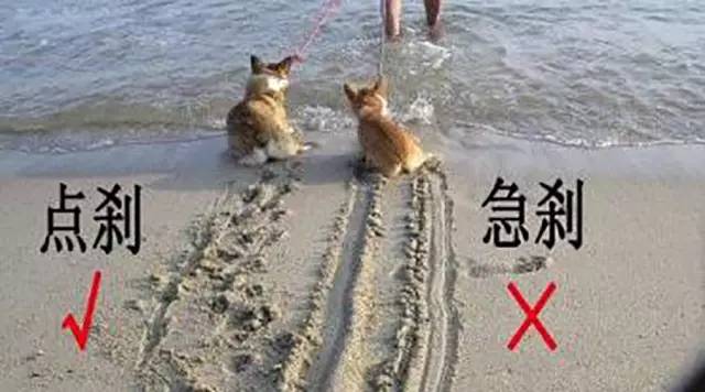 高速公路上开车最重要的这几点你都知道吗？