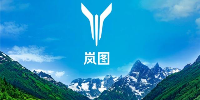销量，bsports必一体育销量,车企十四五规划