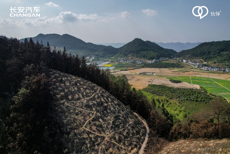 共建生态文明，守护绿色家园，长安bsports必一体育植树节有大动作