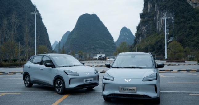 有颜有智续航还实，五菱缤果PLUS提前预定A0级电动新宠？